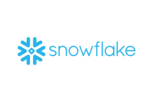 Snow Flake- Logo