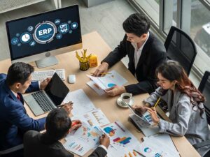 ERP Consulting