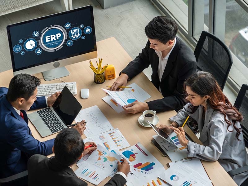 ERP Consulting